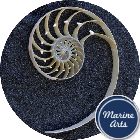 Nautilus Pearl - Centre Cut - AAA Feature